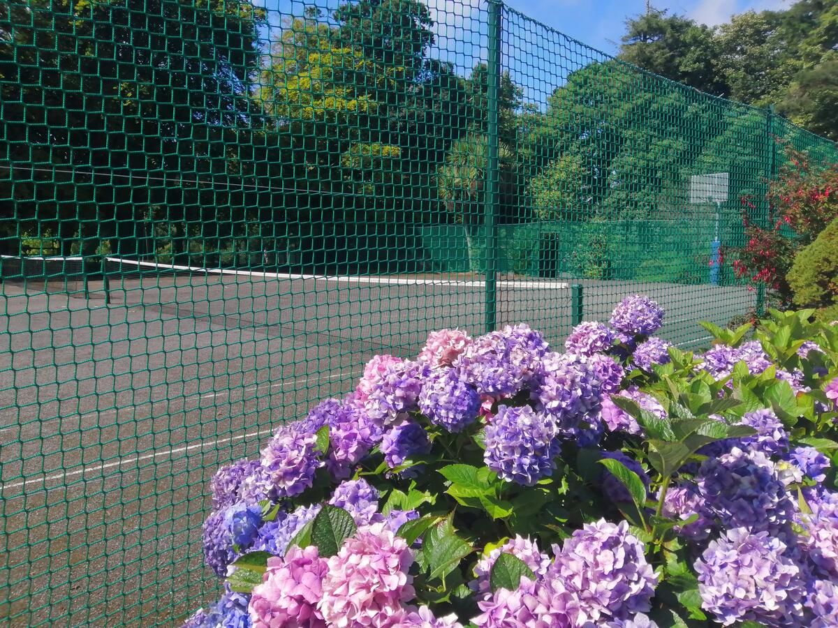 Курортные отели Waterford Castle Hotel & Golf Resort Уотерфорд